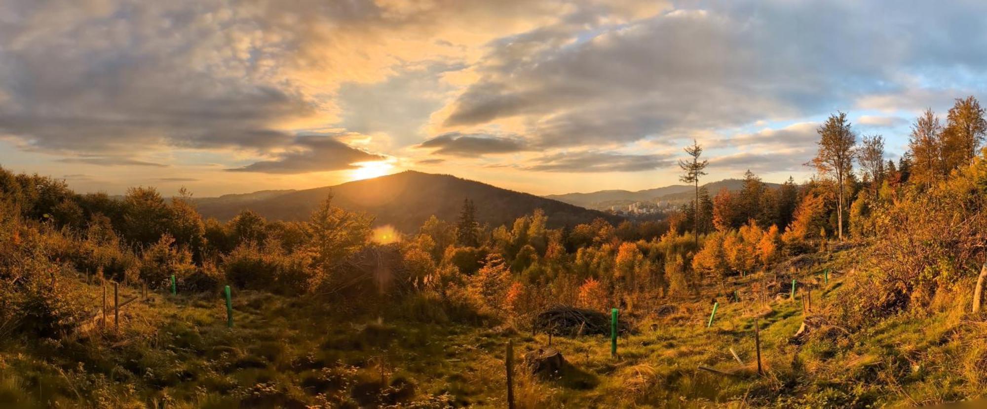Pod Bukovou Horou Vakantiehuis Smržovka