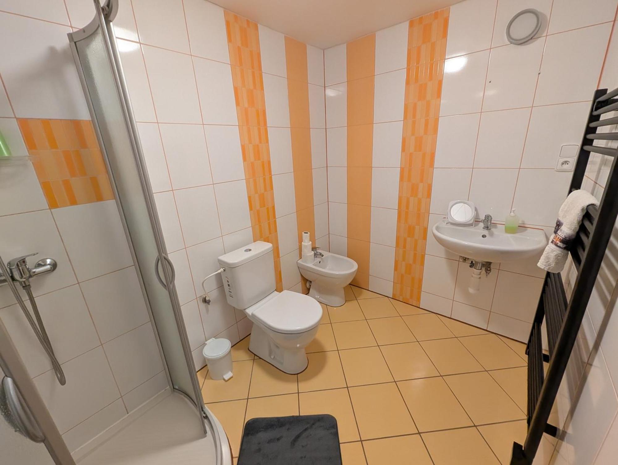 Pod Bukovou Horou Holiday home *